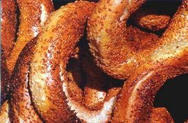 19simit.BMP.JPG (16276 octets)