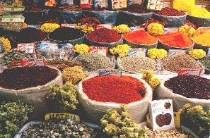 20baharat.BMP.JPG (24020 octets)