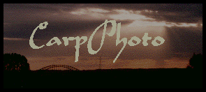CarpPhoto logo