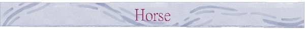 Horse