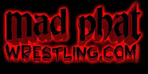 mplogo.jpg (16306 bytes)