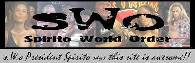 swoaward.jpg (12093 bytes)