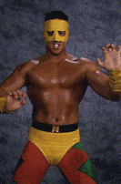 pjaldo.gif (20779 bytes)