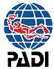 padi.jpg (5630 bytes)