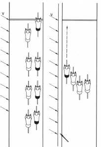 El viento y los temibles abanicos (6993 bytes)