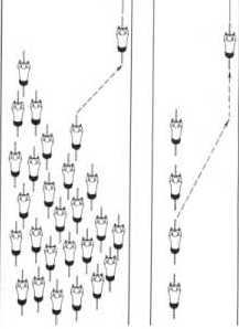 figura_2.jpg (7945 bytes)