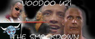 voodoorockbanner.jpeg (35835 bytes)