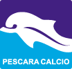Pescara Calcio