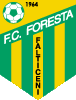 FC Foresta Suceava