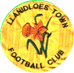 Llanidloes Town