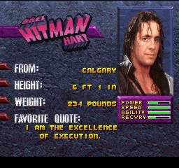 A Pic Of Bret From the Super Wrestlemania Game (1995)