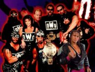 NWO POSTER WITH BRET