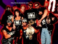 NWO POSTER WITH OUT BRET