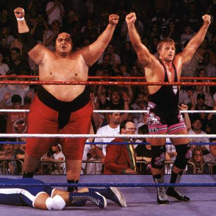 Owen Hart And Yokozuna