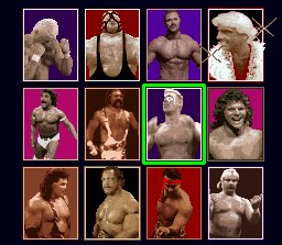 Wrestlers To Pick From