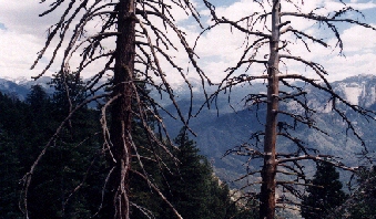 Moro Rock