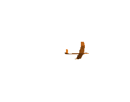 anim_01.gif (16556 bytes)