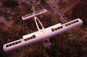 avion.JPG (25052 bytes)