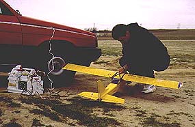felix.jpg (20730 bytes)