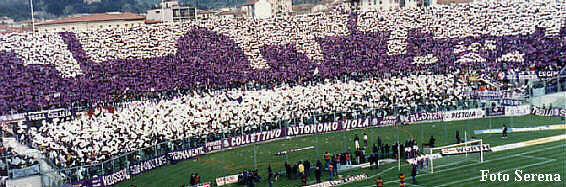 viola.jpg (54870 byte)