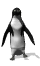 Un penguin