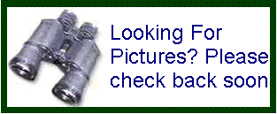 Bitmap Image