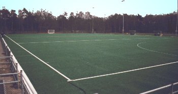 waterveld.jpg (14192 bytes)