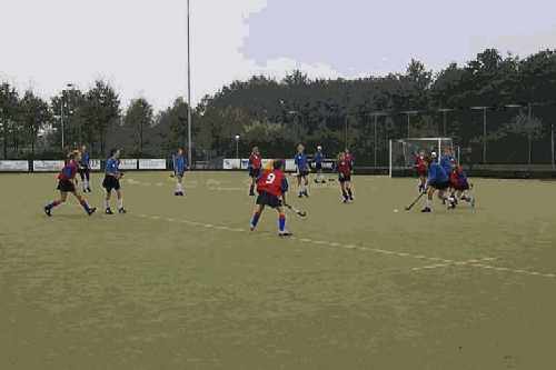 mc19899.jpg (12976 bytes)