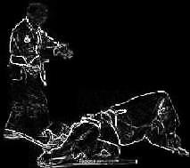 Yamaue/Kusano seminar pictures