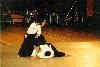 japanshow-aikido2.jpg