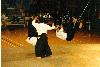 japanshow-aikido4.jpg