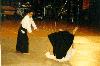 japanshow-aikido5.jpg