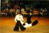 japanshow-aikido7.jpg