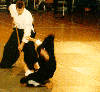 japanshow-aikijo.jpg