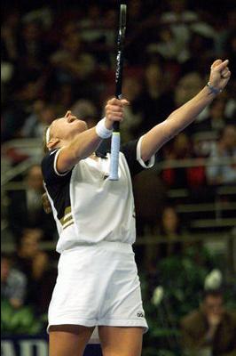 grafbeatsseleschase981.jpg (17113 bytes)