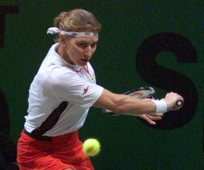 grafvanroost1.jpg (29930 bytes)