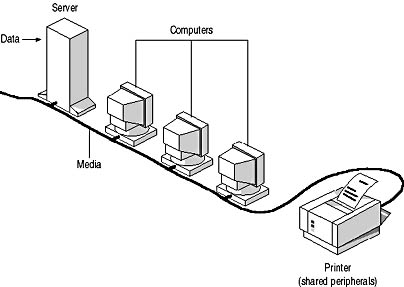 Click to view at full size.