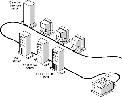 Click to view at full size.