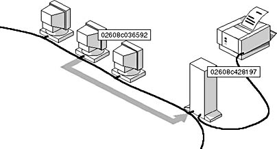 Click to view at full size.