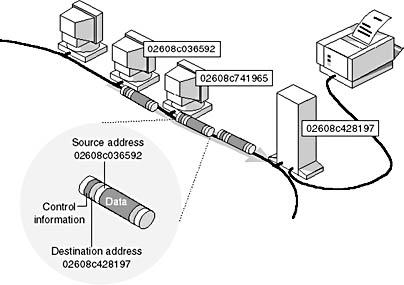 Click to view at full size.