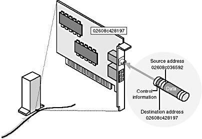 Click to view at full size.