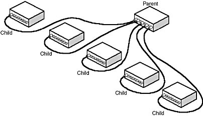 Click to view at full size.