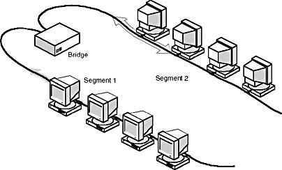 Click to view at full size.