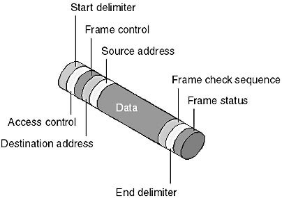 Click to view at full size.