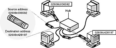 Click to view at full size.