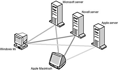 Click to view at full size.