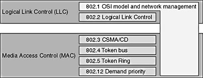 Click to view at full size.