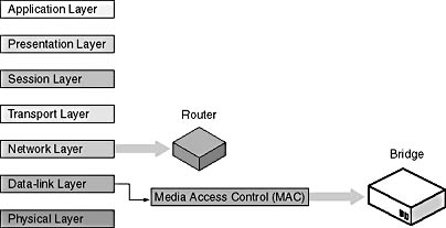 Click to view at full size.