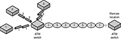 Click to view at full size.