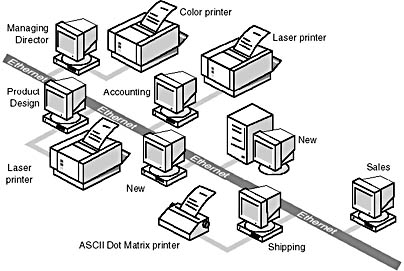 Click to view at full size.